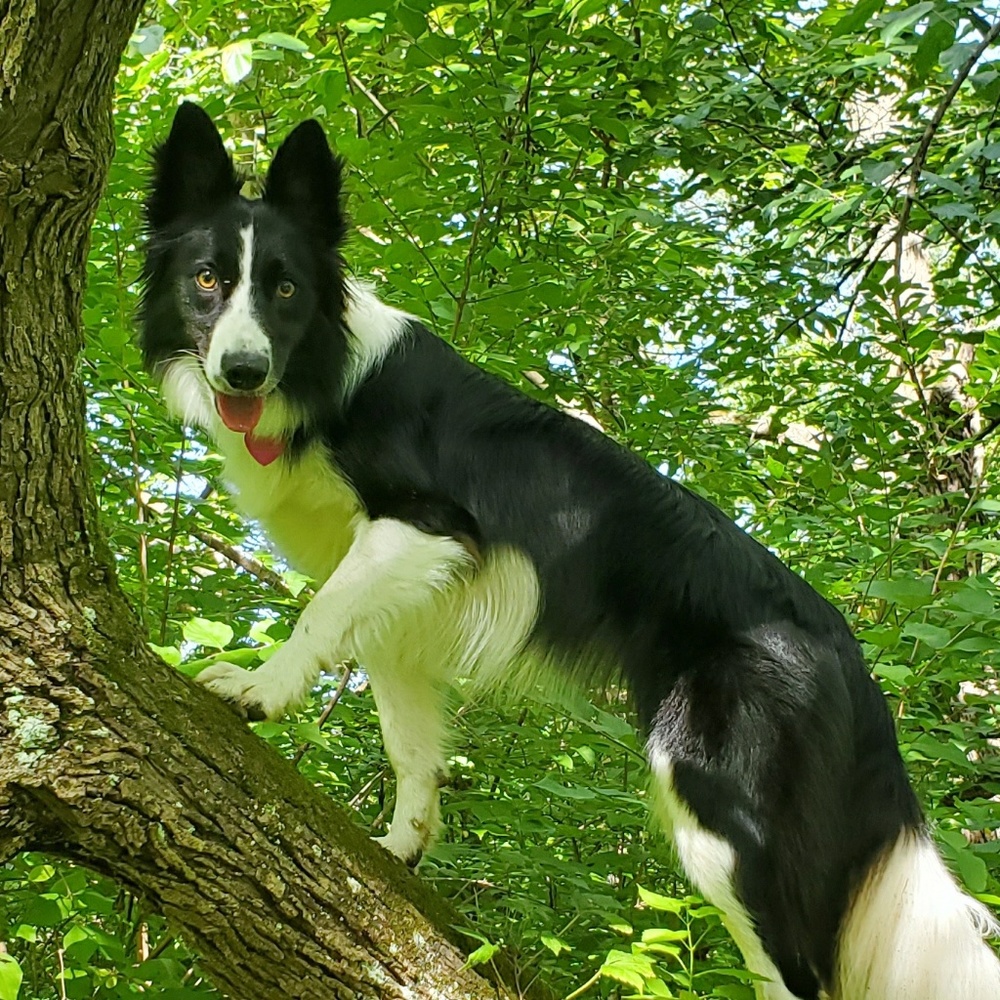 Meet your Posher, Nick